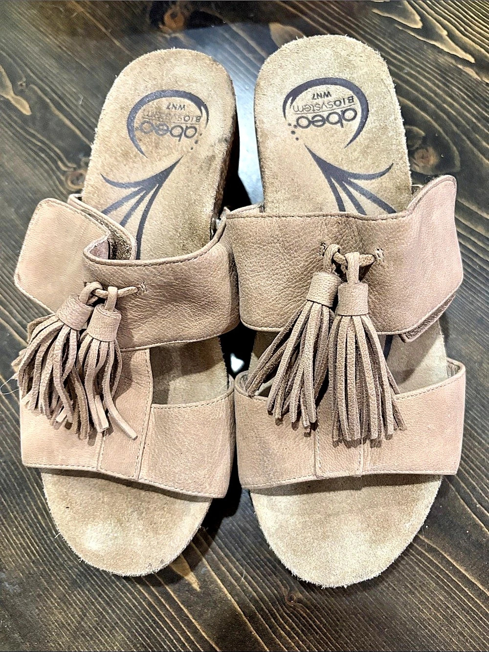 abeo Biosystem WN7 Tassel Wedge Sandals in Brown